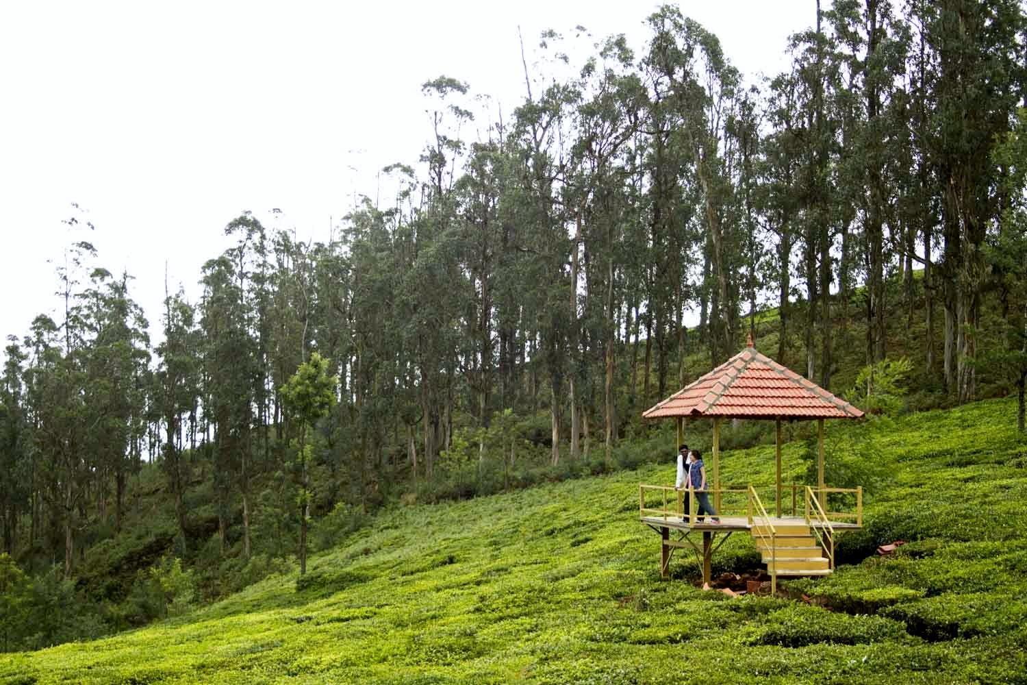 Green Nest Resort Ooty Kotagiri Exterior foto