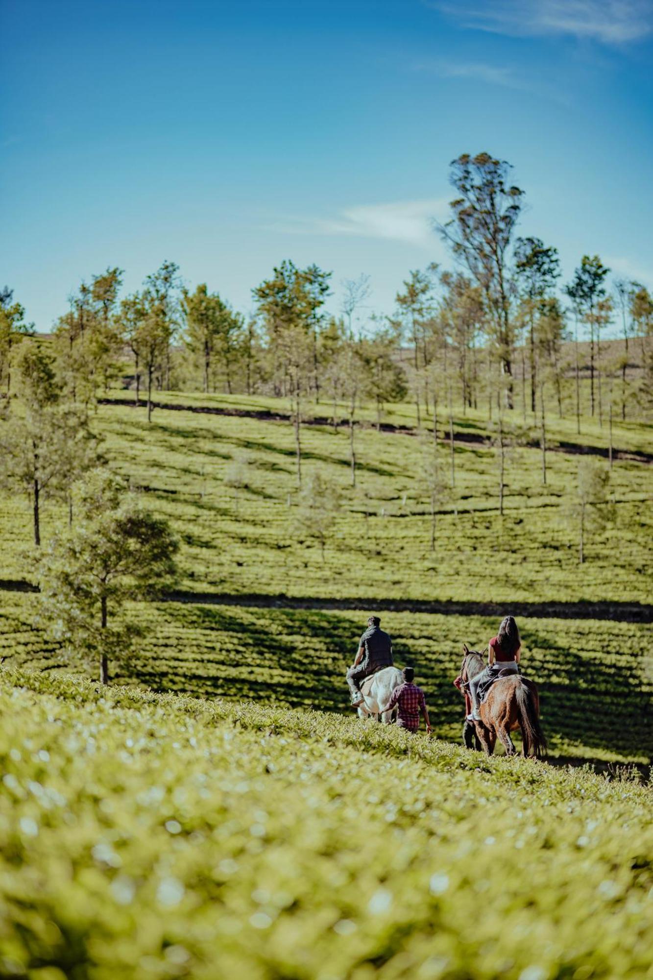 Green Nest Resort Ooty Kotagiri Exterior foto