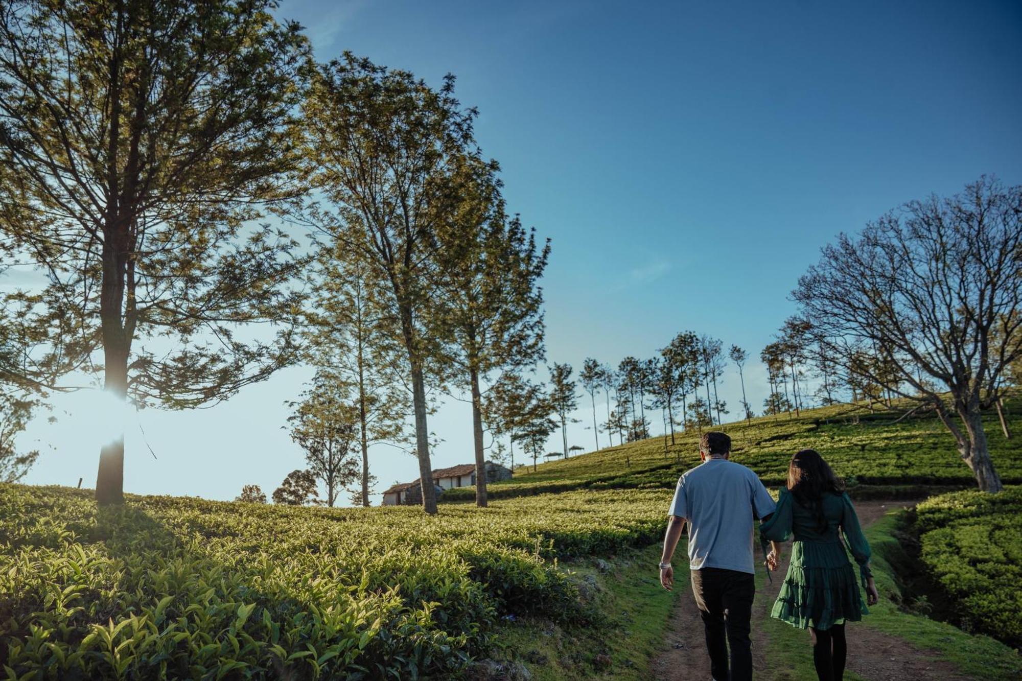 Green Nest Resort Ooty Kotagiri Exterior foto