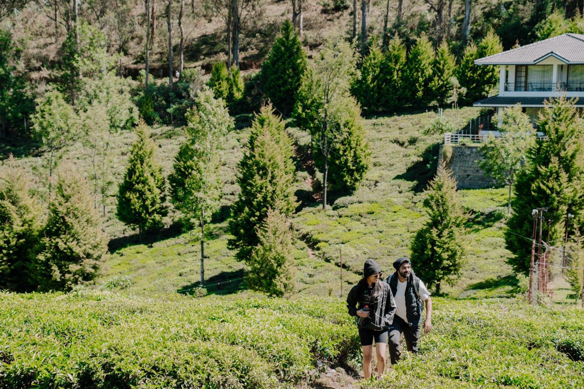 Green Nest Resort Ooty Kotagiri Exterior foto