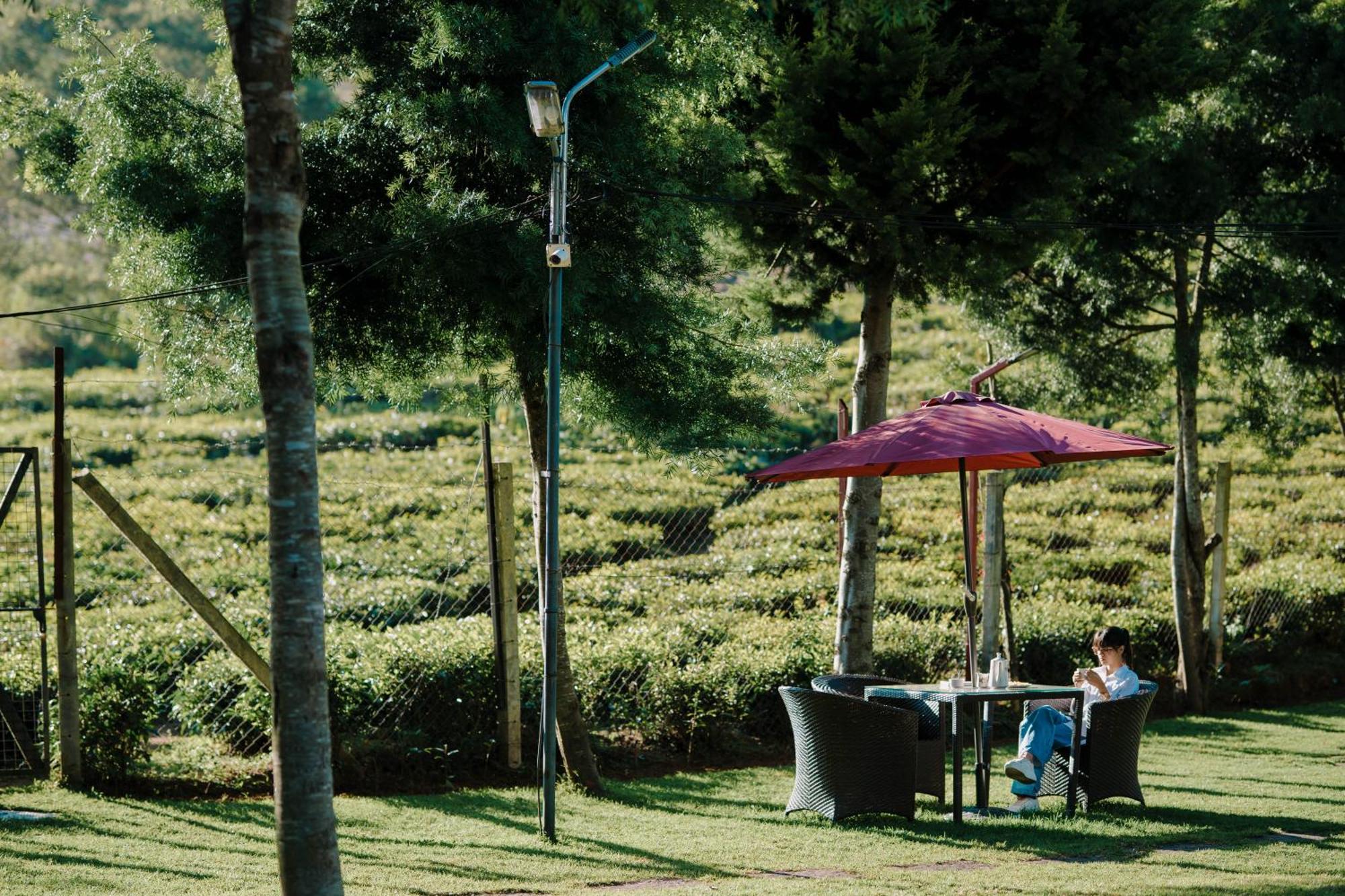 Green Nest Resort Ooty Kotagiri Exterior foto
